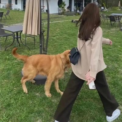艾茵·兰德：一种生命感